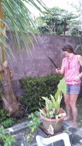 Katie leaning the Costa Rican ways using a machete! 