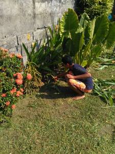 Cleaned up the plants! 